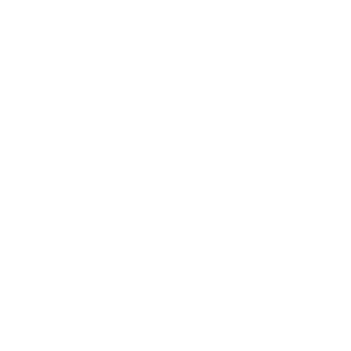 insta logo white